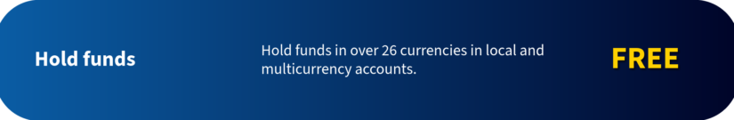 Currency Hedger Account Pricing (6)