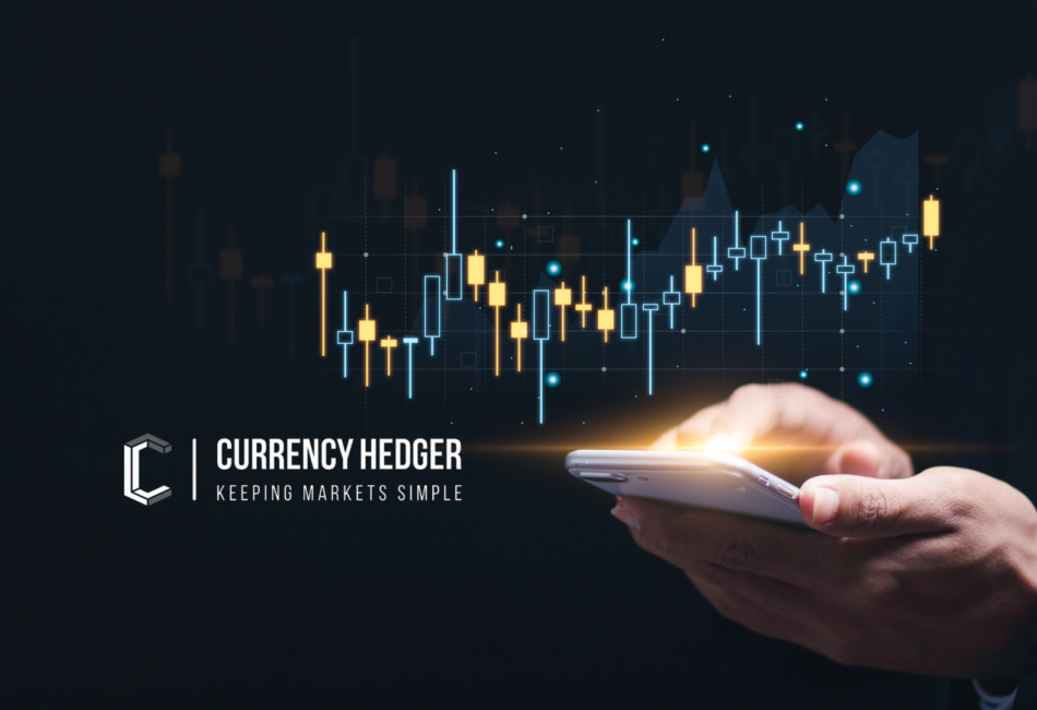 currency hedger export (5) currency hedger export (5)