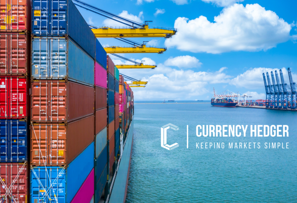 currency hedger export currency hedger export