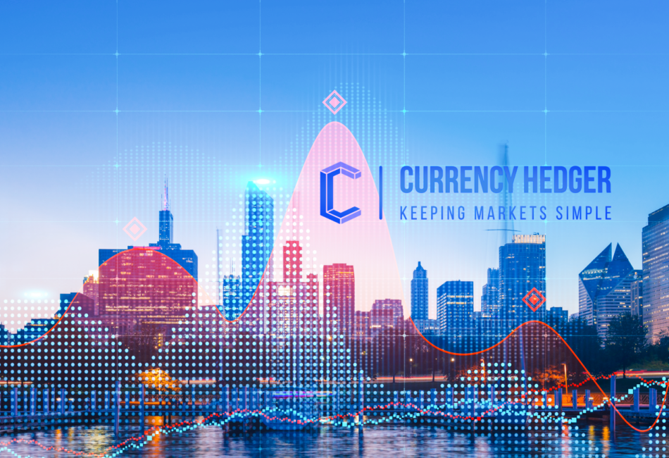 currency hedger forex (3) currency hedger forex (3)