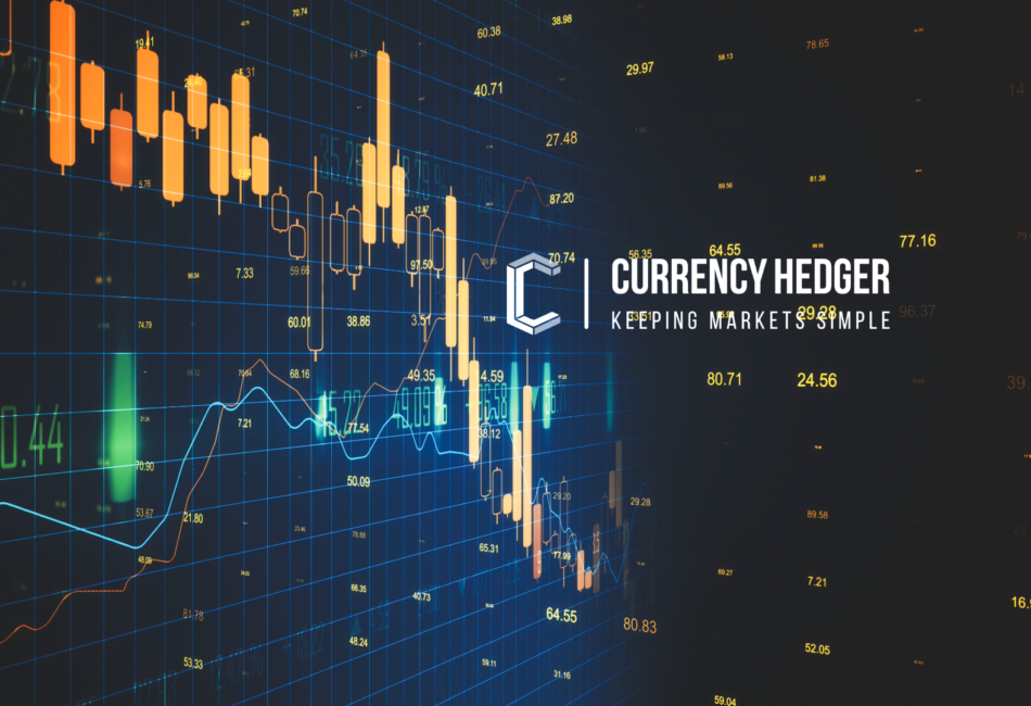 currency hedger forex (6) currency hedger forex (6)