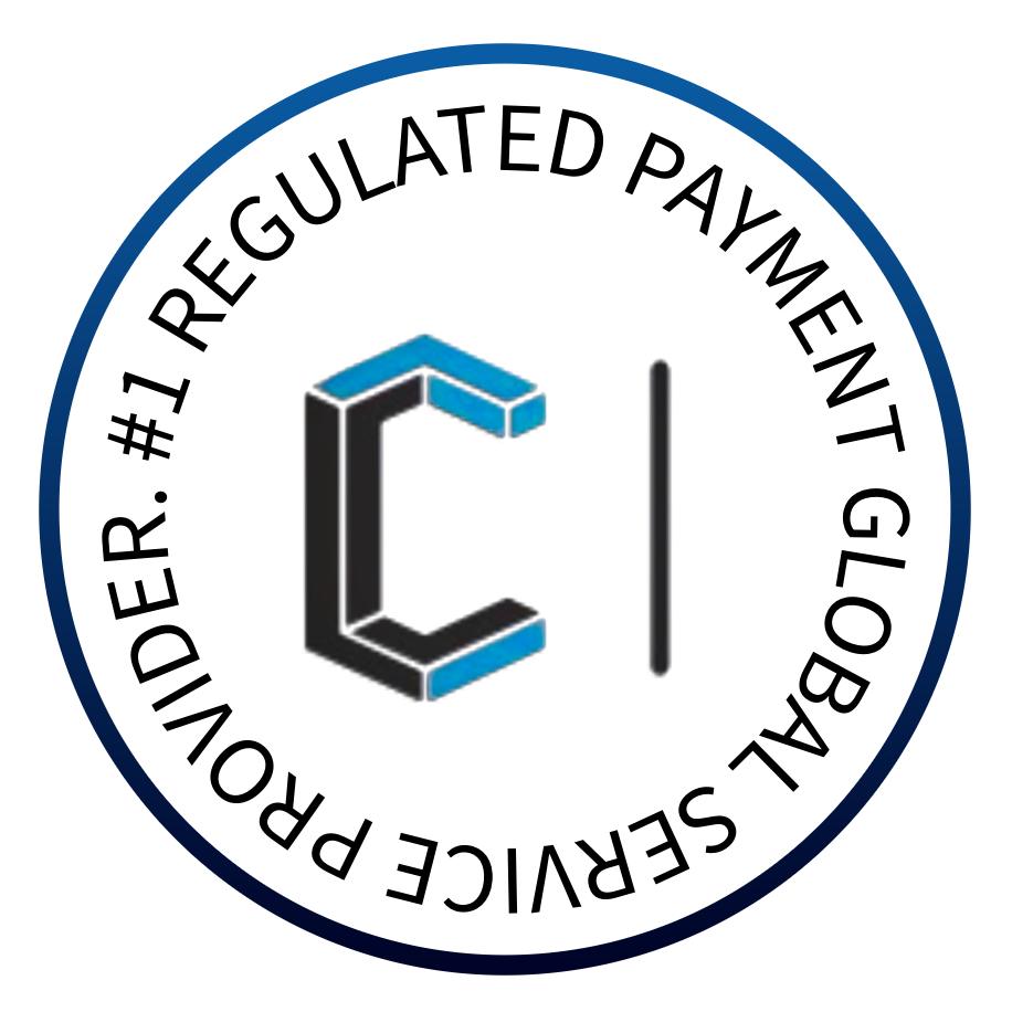 Currency Hedger global payment infrastructure